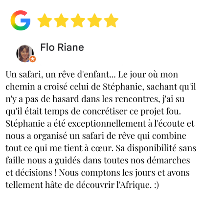 avis google 5 étoiles Avis d'un client sur un safari, mentionnant l'écoute et l'organisation de Stéphanie.