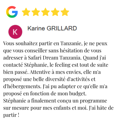 avis google 5 étoiles avis positif concernant un voyage en Tanzanie avec Safari Dream Tanzania.